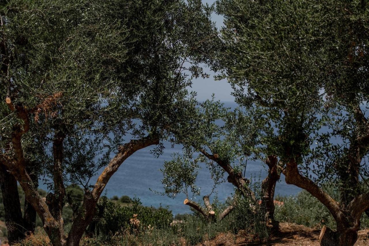 Cossoro Villas Zakynthos Xirokastellon Bagian luar foto